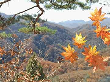 打井机信阳：一场“地下”的冒险